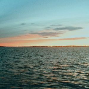 Meet your Posher, Dakota